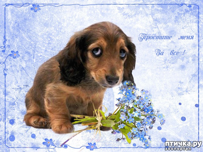 ���� 5: ������� ���� �����...