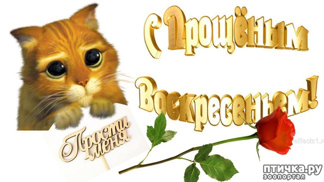 ���� 6: ������� ���� �����...