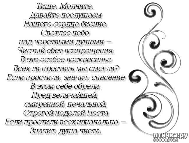 ���� 8: ������� ���� �����...