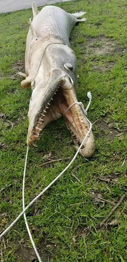 ���� 1: � ��� �� ����� �������� �������������� ����.