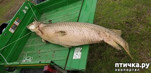 ���� 2: � ��� �� ����� �������� �������������� ����.