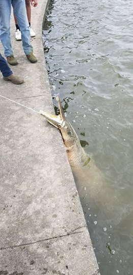 ���� 3: � ��� �� ����� �������� �������������� ����.