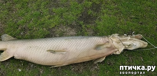 ���� 4: � ��� �� ����� �������� �������������� ����.