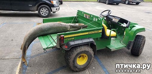 ���� 5: � ��� �� ����� �������� �������������� ����.