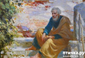 ����: ��� ��� ���� �������