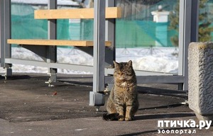 ����: ���������� ���������