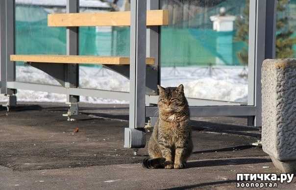 ���� 1: ���������� ���������