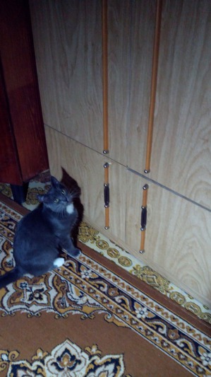 ����: ������� �������