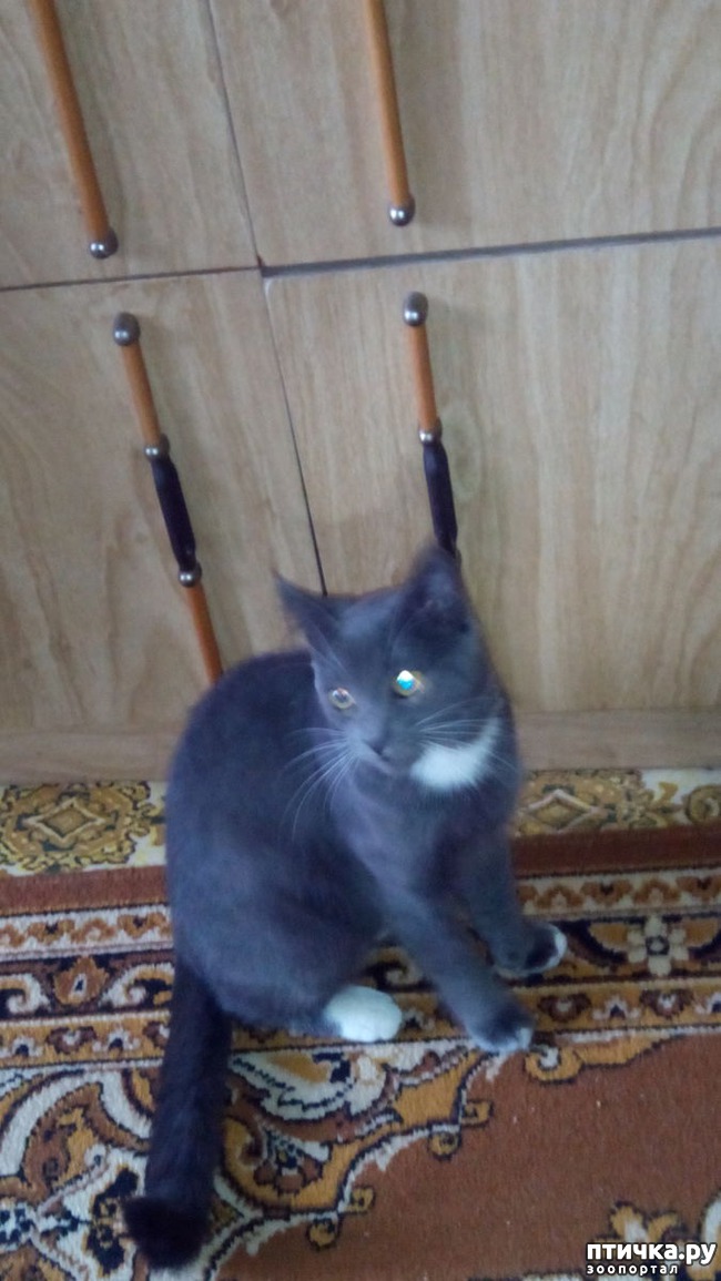 ���� 2: ������� �������