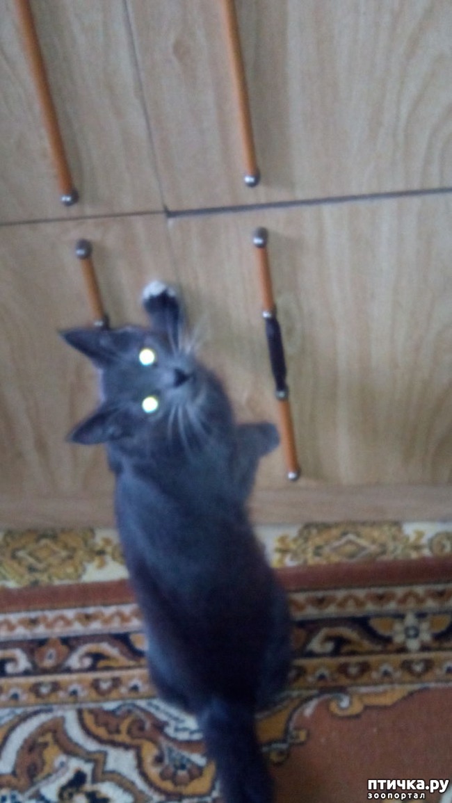 ���� 3: ������� �������