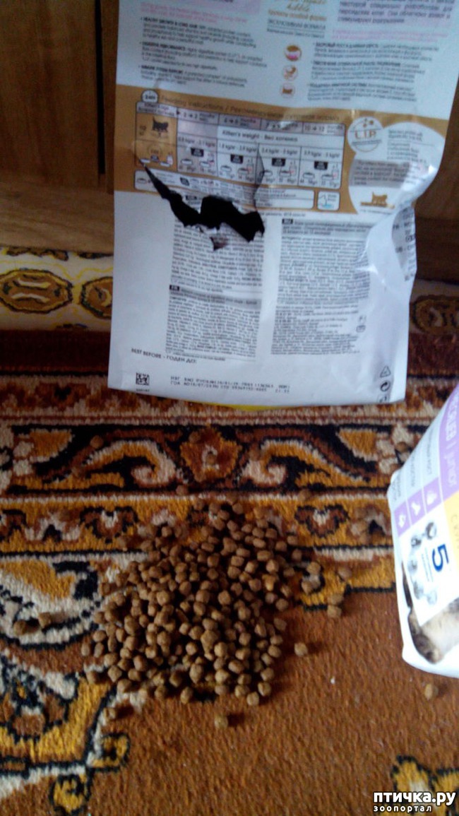 ���� 4: ������� �������