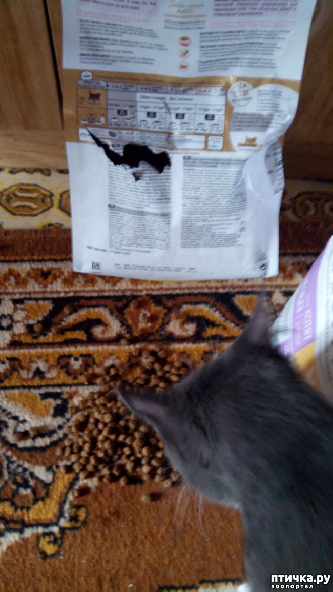 ���� 5: ������� �������