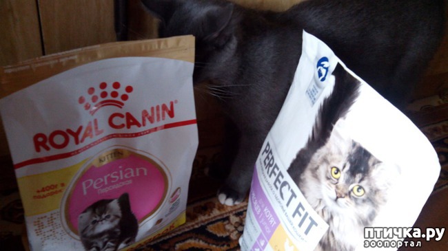 ���� 6: ������� �������