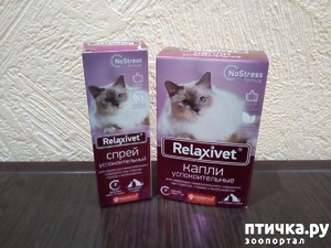 ����: �������������� ����� � ����� ��� �����.