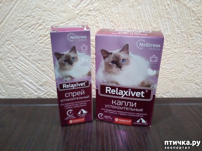 ���� 1: �������������� ����� � ����� ��� �����.