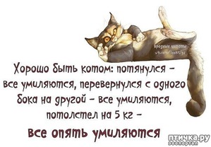 ����: ��������� - ����� �����...