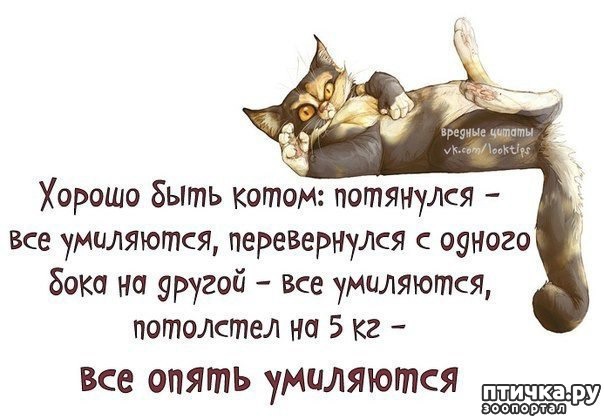 ���� 1: ��������� - ����� �����...