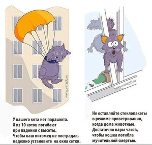 ����: ����� � ����