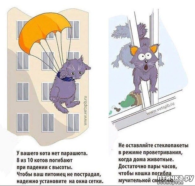 ���� 1: ����� � ����