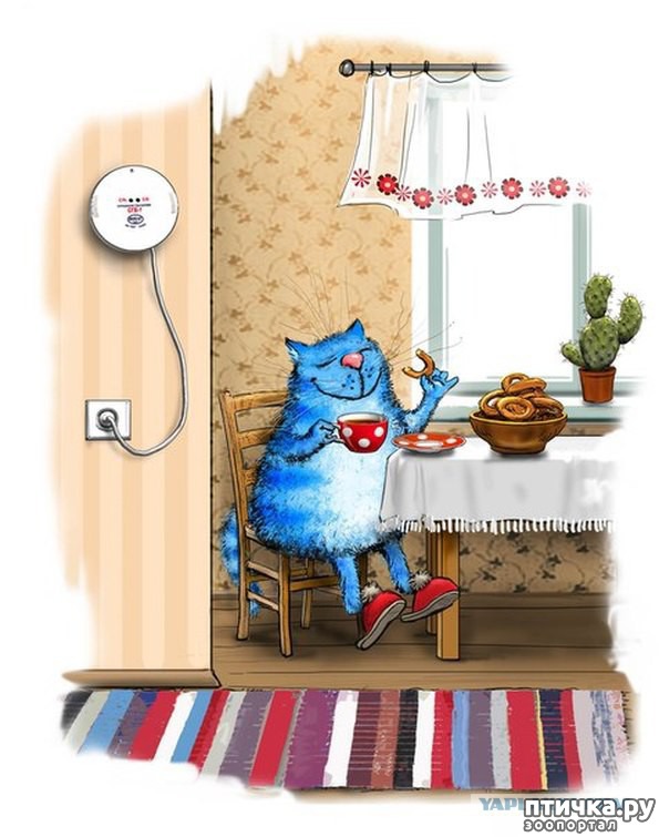 ���� 1: ��� ����� ����� ����� �����