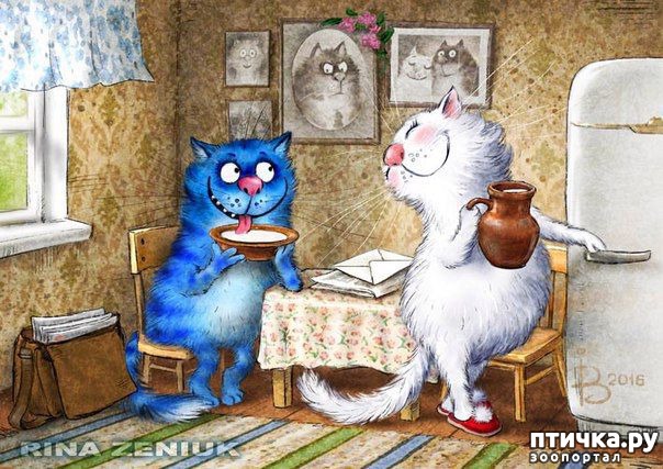 ���� 5: ��� ����� ����� ����� �����