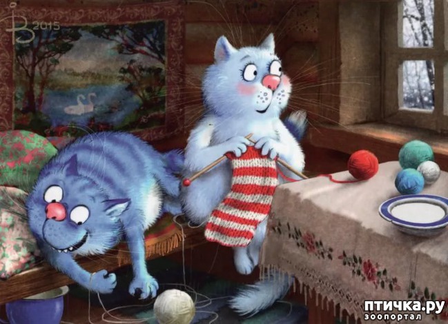 ���� 4: ��� ����� ����� ����� �����