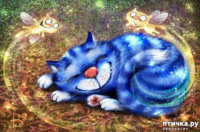 ���� 3: ��� ����� ����� ����� �����