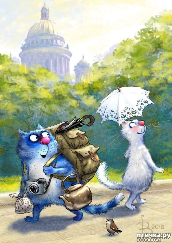 ���� 7: ��� ����� ����� ����� �����