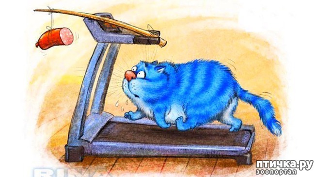 ���� 10: ��� ����� ����� ����� �����