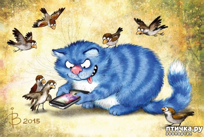 ���� 9: ��� ����� ����� ����� �����