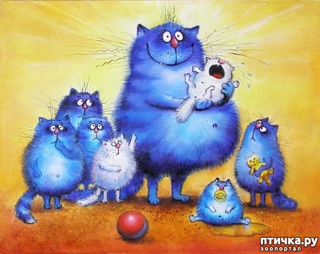 ���� 12: ��� ����� ����� ����� �����