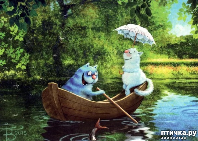 ���� 13: ��� ����� ����� ����� �����