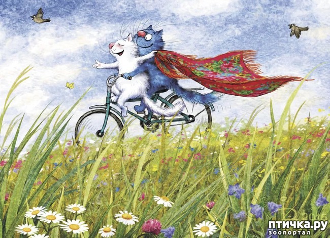 ���� 11: ��� ����� ����� ����� �����