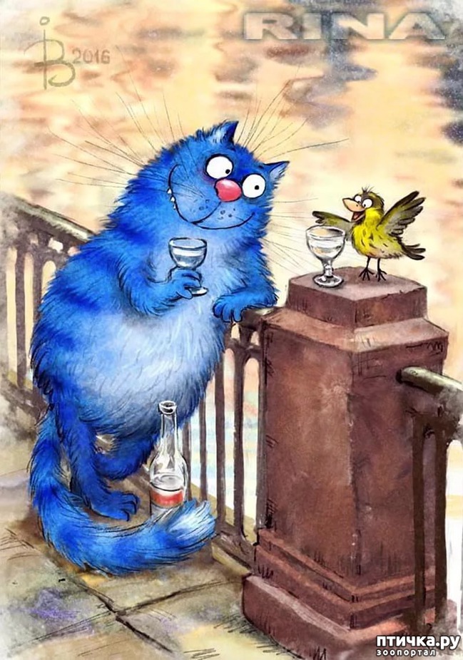 ���� 8: ��� ����� ����� ����� �����