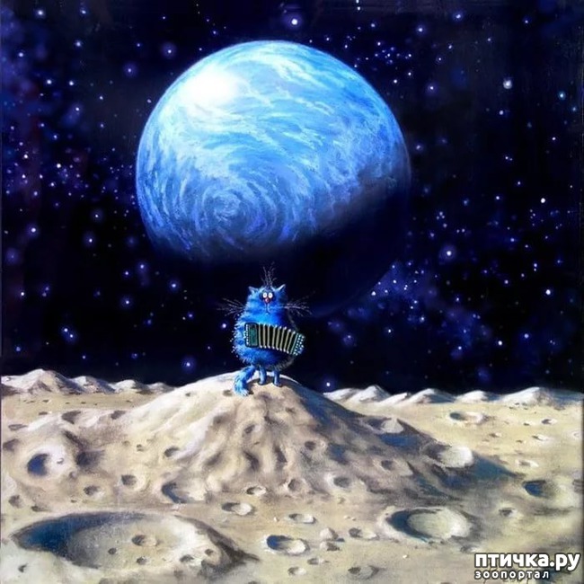 ���� 16: ��� ����� ����� ����� �����