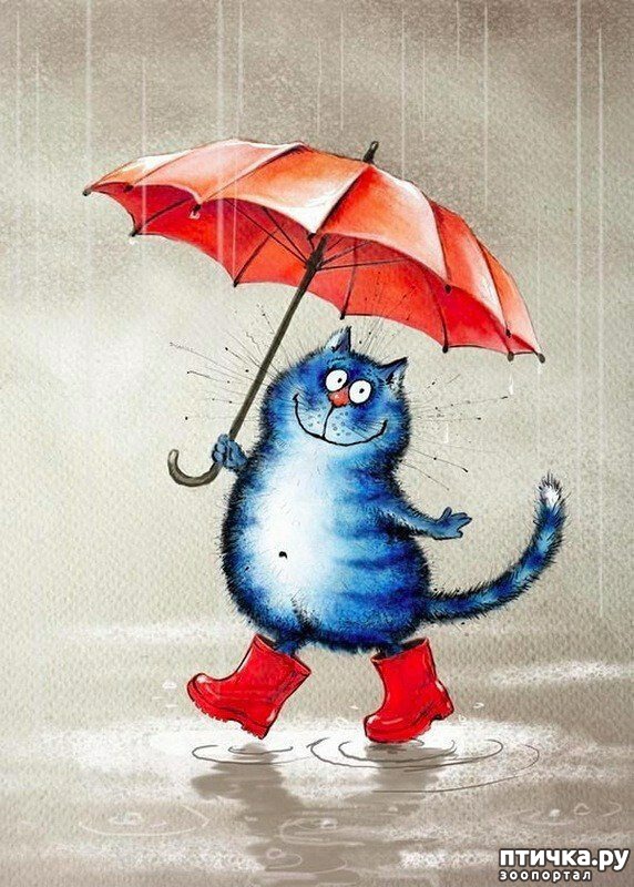 ���� 15: ��� ����� ����� ����� �����