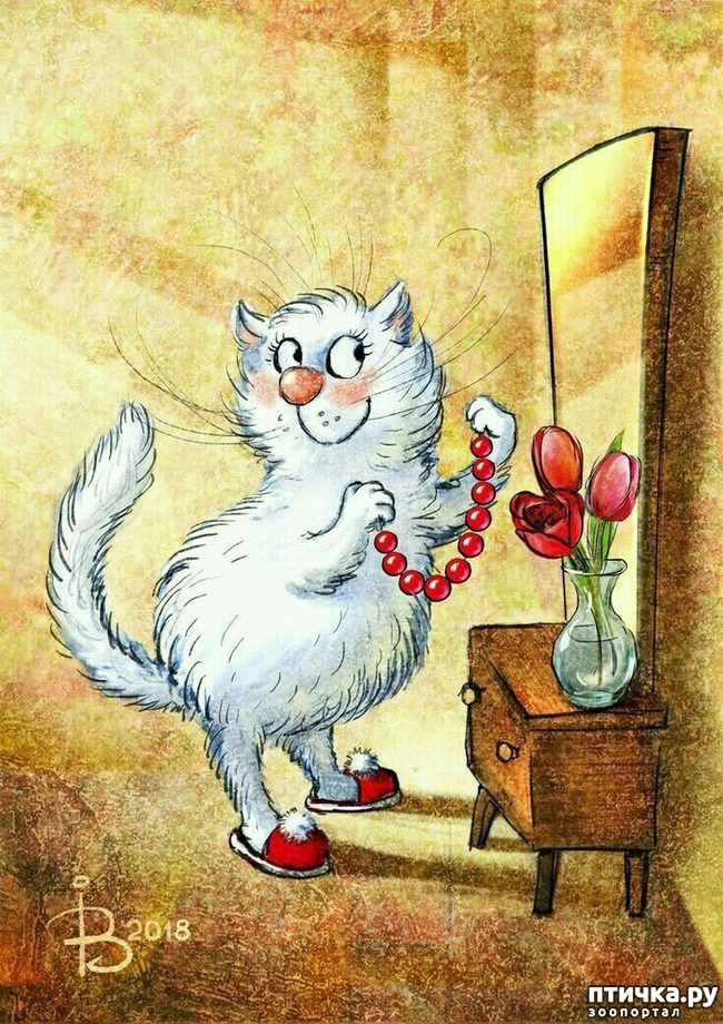 ���� 14: ��� ����� ����� ����� �����