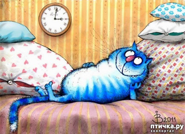 ���� 19: ��� ����� ����� ����� �����