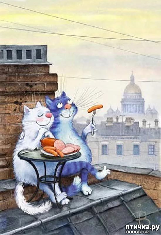 ���� 20: ��� ����� ����� ����� �����