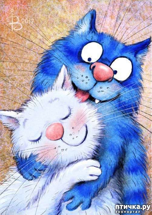 ���� 22: ��� ����� ����� ����� �����