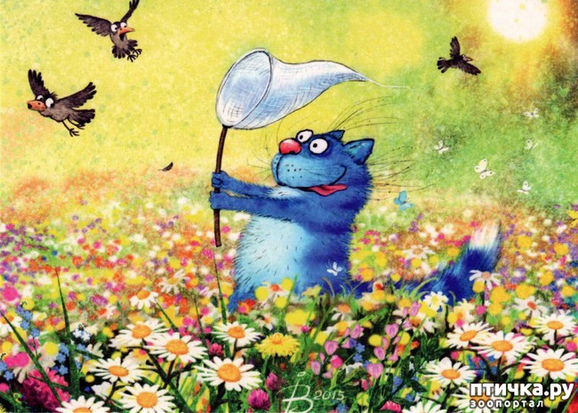 ���� 23: ��� ����� ����� ����� �����