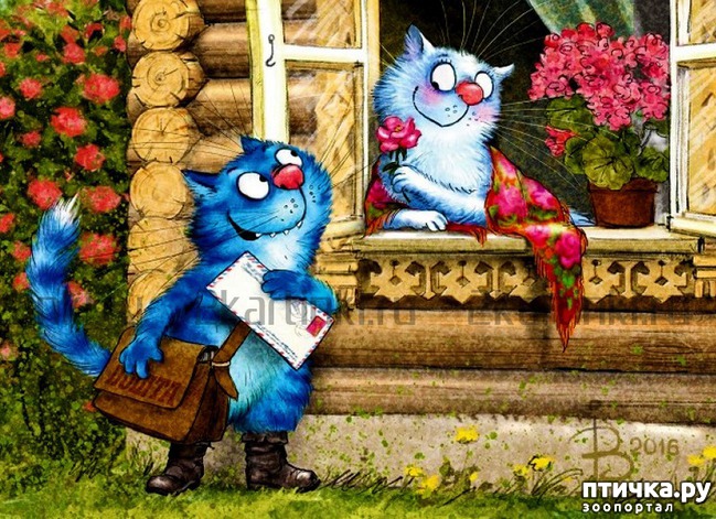 ���� 6: ��� ����� ����� ����� �����