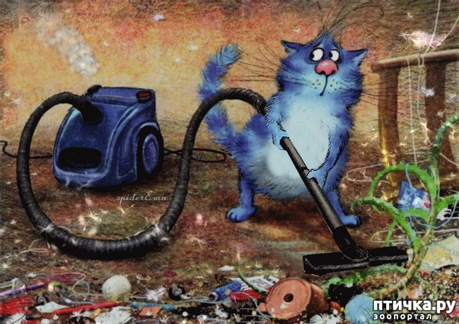 ���� 17: ��� ����� ����� ����� �����