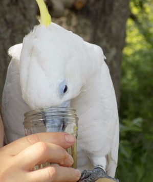 ����: �������� � �������������� �����