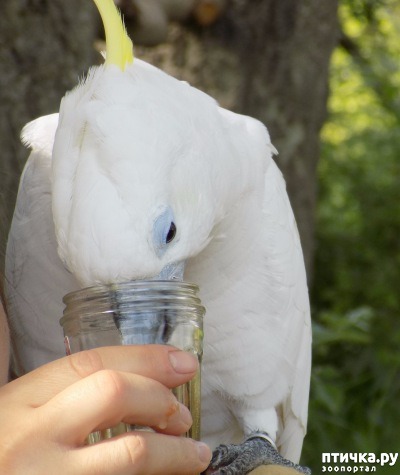 ���� 1: �������� � �������������� �����