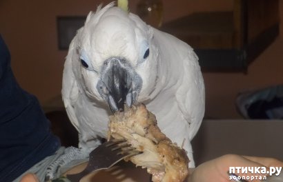 ���� 2: �������� � �������������� �����