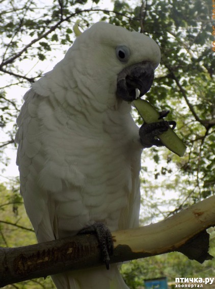 ���� 3: �������� � �������������� �����