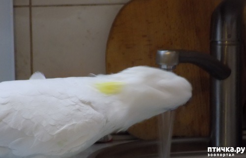 ���� 4: �������� � �������������� �����