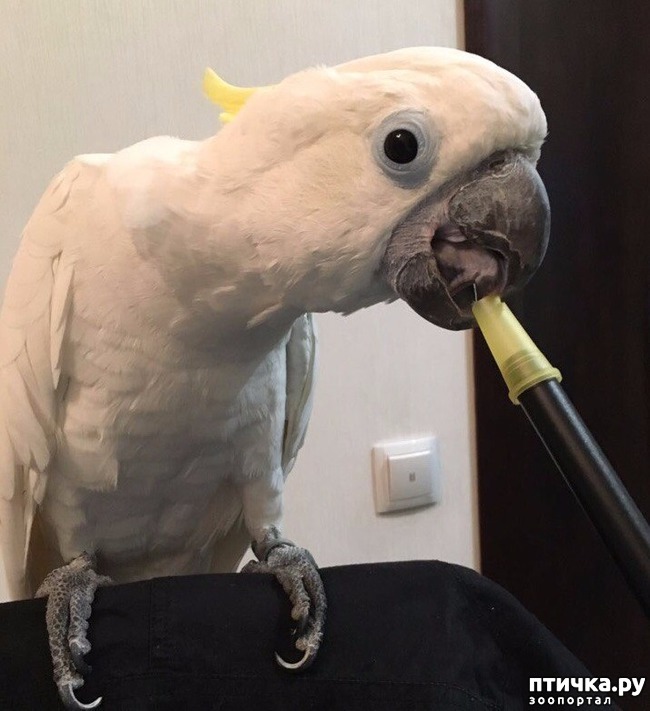 ���� 5: �������� � �������������� �����