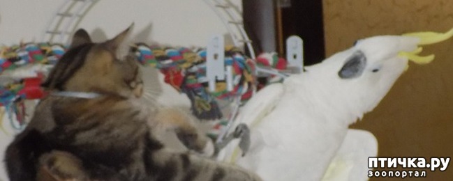 ���� 6: �������� � �������������� �����